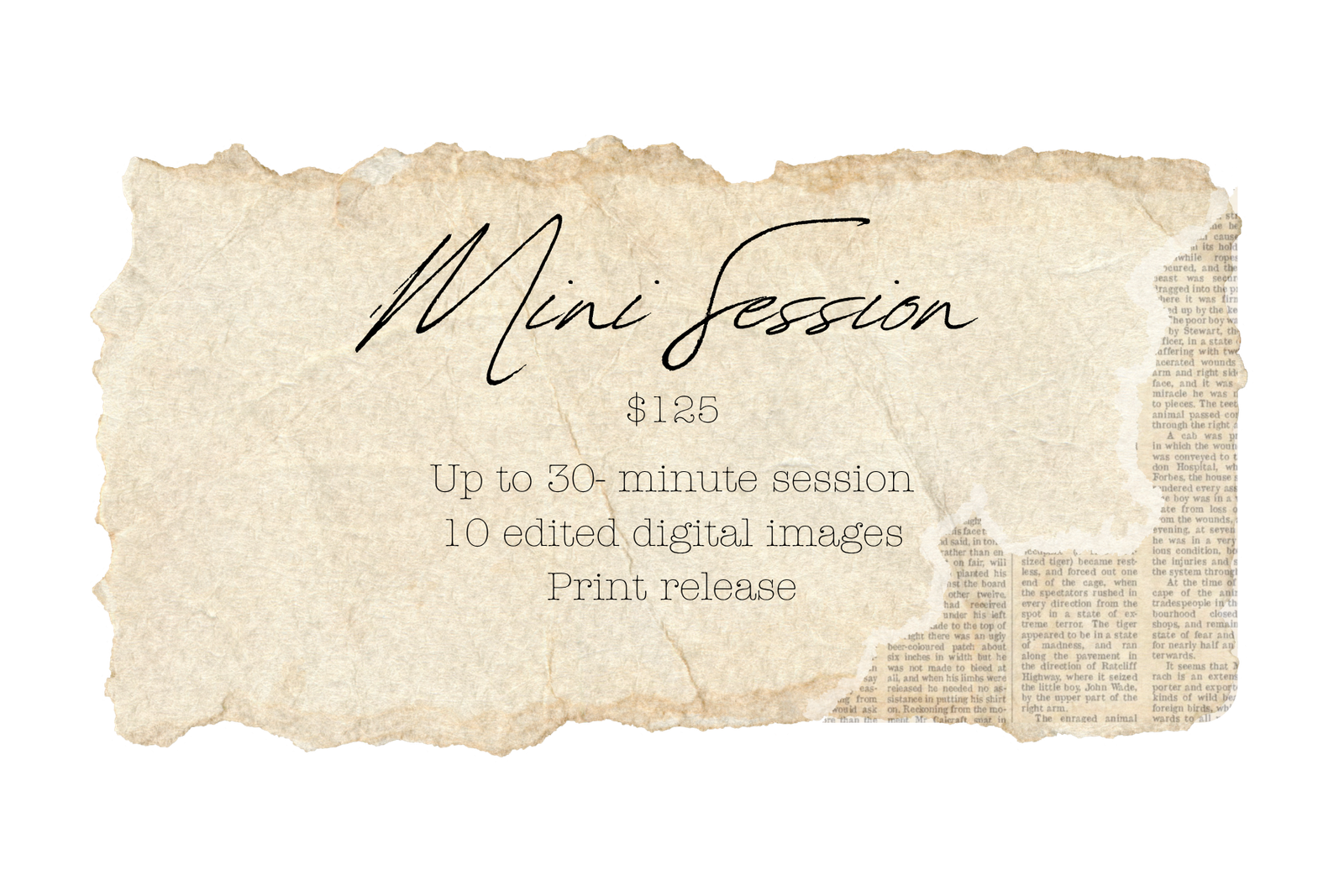 Chella mais creatives photography mini session pricing